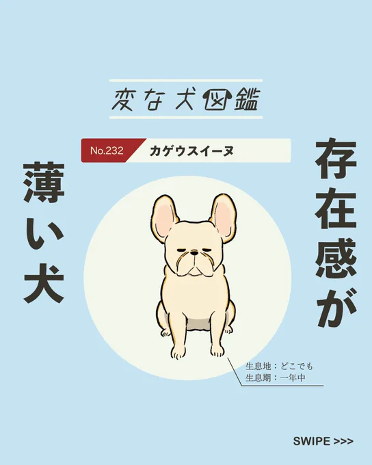 【#変な犬図鑑】
No.232 カゲウスイーヌ
存在感が薄いあの犬です。 