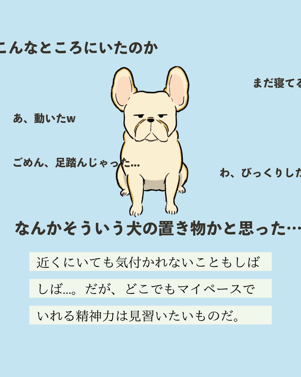 【#変な犬図鑑】
No.232 カゲウスイーヌ
存在感が薄いあの犬です。 