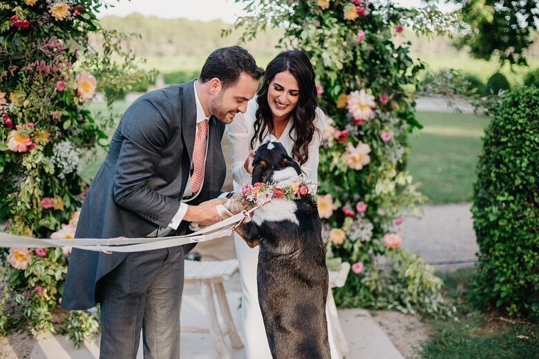 Nos encantan las sorpresas y, de esto… ¡Anna no sabía nada de nada! (Nosotras sí, que conste, a nosotras nos tenéis que mantener informadas de todo☝🏼🤓).

Traca apareció en el momento de los votos de Jose, ¡qué bien se portó y qué bonita es! ♥️🐶

Los … instagr.am/p/CpzTqIbtKxc/