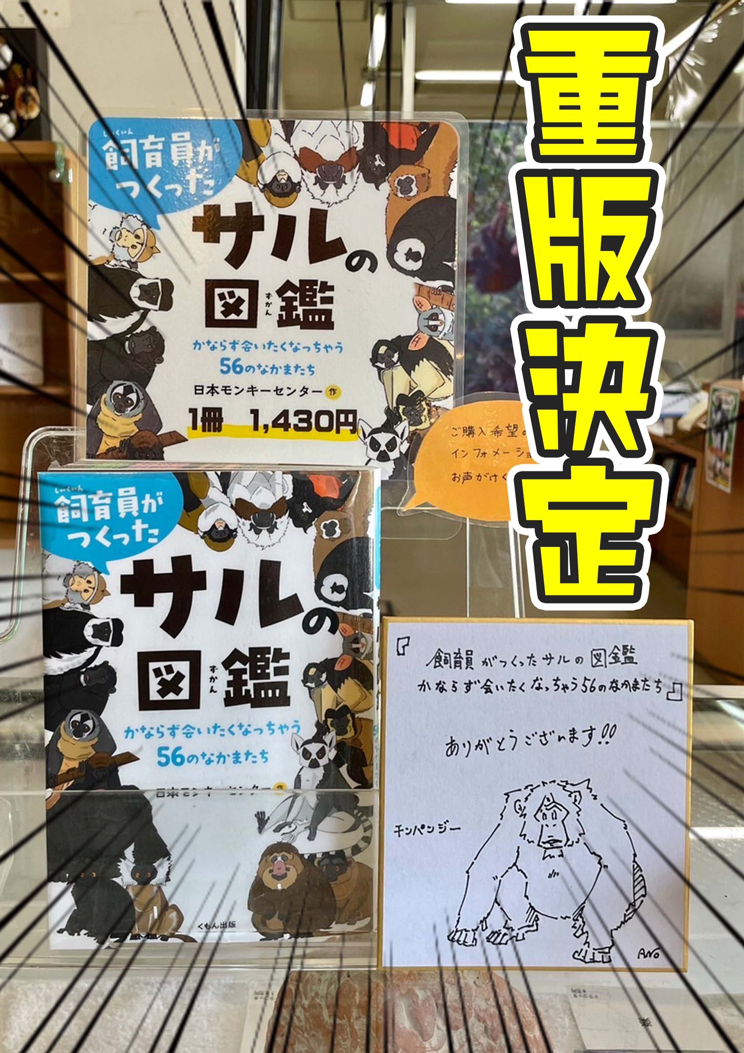 猿たまさんご確認用✨ 猿たまさんご確認用✨