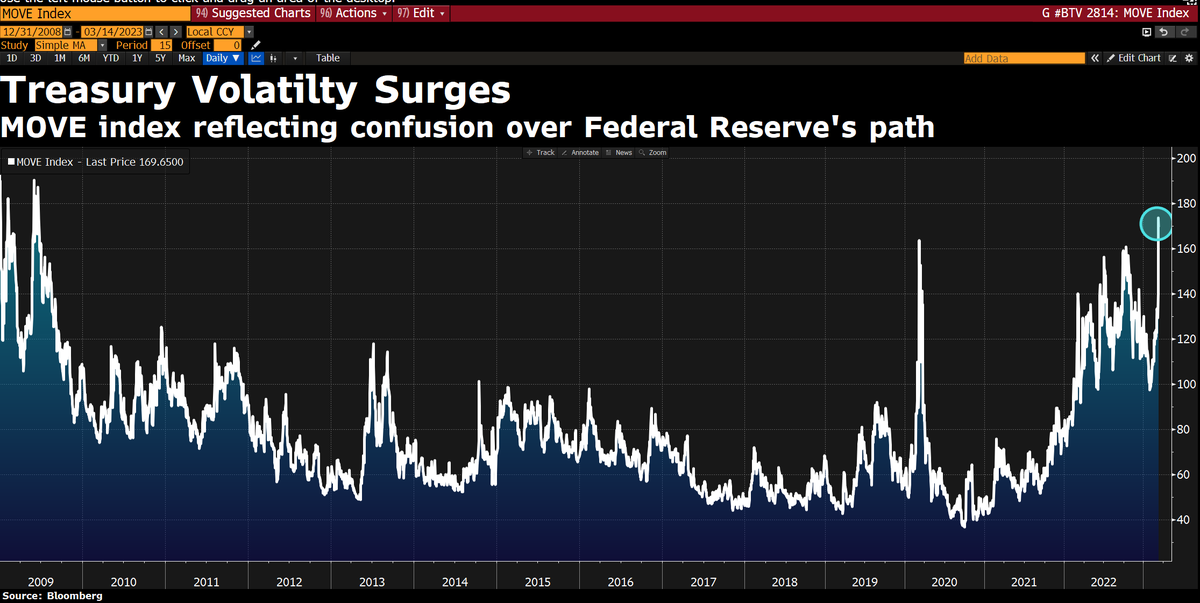 Daniel Curtis tweet media