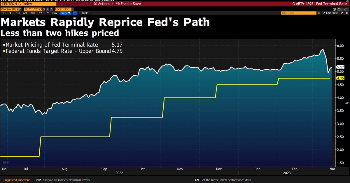 Daniel Curtis tweet media