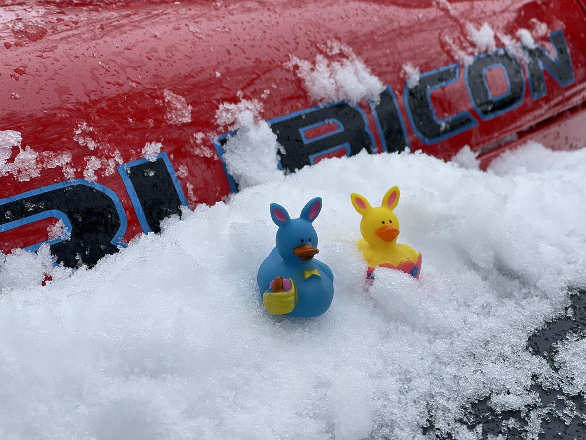 Received my first ever “ducking via mail.”  These two guys showed up in a mail pouch with the return address of #duckduckjeep in Michigan. 

I had to take a pic with them on my snowy NH Jeep immediately.

Thank you secret MI Jeeper!