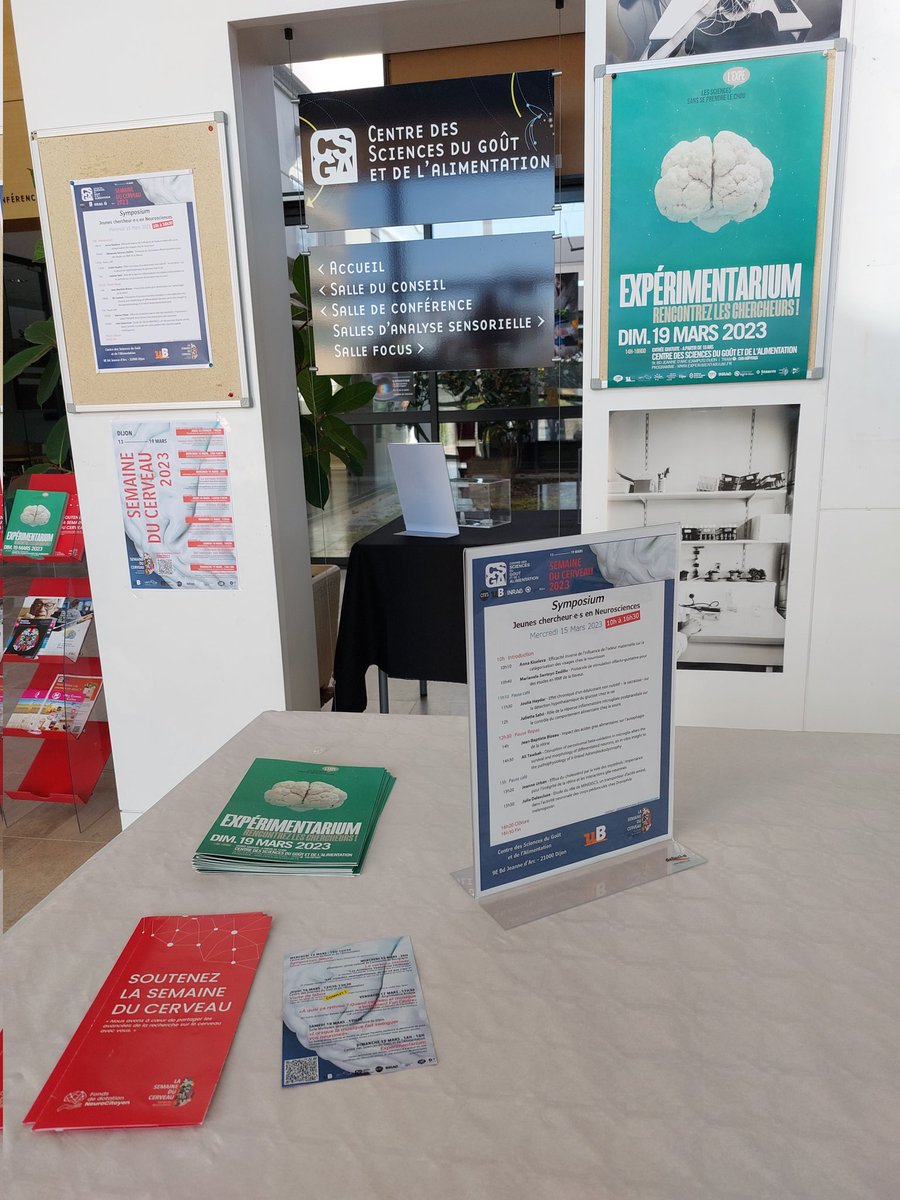Semaine du Cerveau Dijon tweet media