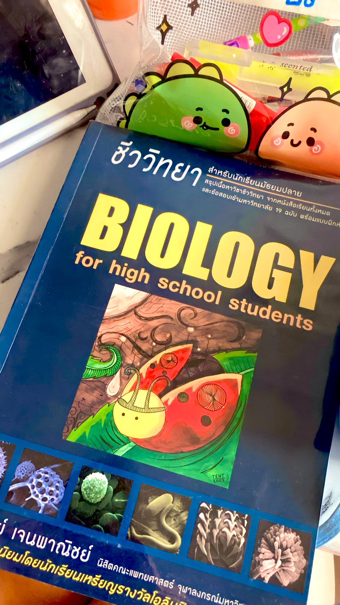 Bteyww's tweet photo. ปล่อยหนังสือชีวะเต่าทอง 🐞 สภาพ 95% ห่อปก มีรอยดินสอ&amp;ไฮไลต์ นิดหน่อย กับรอยวันที่ตรง สันหนังสือ ราคารวมส่ง 380 ขอดูเพิ่มเติมได้งับ #หนังสือเต่าทอง #หนังสือมือสองสภาพดี  #หนังสือชีวะเต่าทอง #หนังสือเตรียมสอบเข้ามหาลัย #dek66 #dek67 #dek68 https://t.co/j90fdHFByJ