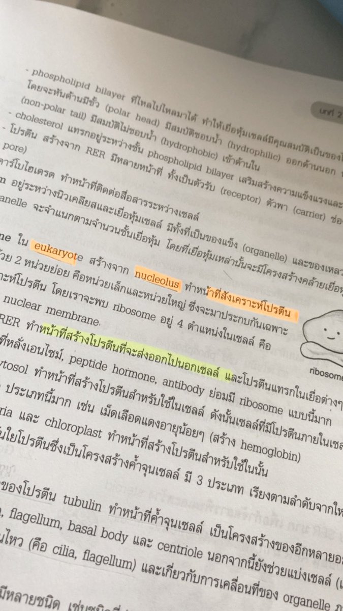 Bteyww's tweet photo. ปล่อยหนังสือชีวะเต่าทอง 🐞 สภาพ 95% ห่อปก มีรอยดินสอ&amp;ไฮไลต์ นิดหน่อย กับรอยวันที่ตรง สันหนังสือ ราคารวมส่ง 380 ขอดูเพิ่มเติมได้งับ #หนังสือเต่าทอง #หนังสือมือสองสภาพดี  #หนังสือชีวะเต่าทอง #หนังสือเตรียมสอบเข้ามหาลัย #dek66 #dek67 #dek68 https://t.co/j90fdHFByJ