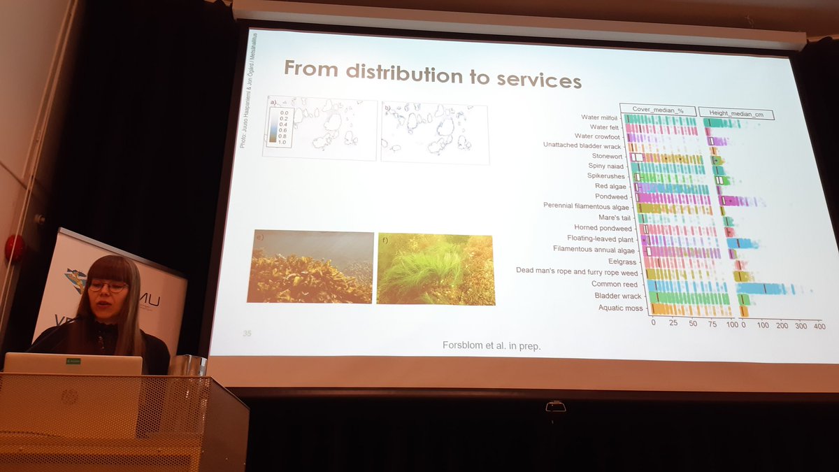 Markku Viitasalo (@viitasalomarkku) on Twitter photo In #VELMUconference Louise Forsblom <a href="/SYKEinfo/">Suomen ympäristökeskus</a> gives a brilliant presentation on how <a href="/VELMUohjelma/">VELMUohjelma</a> data and #speciesdistributionmodelling are used for mapping and assessment of marine #ecosystemservices In #VELMUconference Louise Forsblom <a href="/SYKEinfo/">Suomen ympäristökeskus</a> gives a brilliant presentation on how <a href="/VELMUohjelma/">VELMUohjelma</a> data and #speciesdistributionmodelling are used for mapping and assessment of marine #ecosystemservices