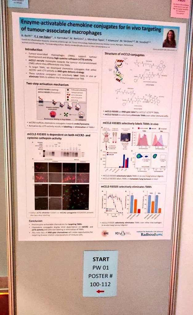 Verdoes Lab (@verdoeslab) on Twitter photo Pre-postdoc Floris van Dalen is representing <a href="/VerdoesLab/">Verdoes Lab</a> at #EMIM2023 <a href="/ESMI_society/">European Society for Molecular Imaging - ESMI</a>
Go check out poster 100 about TAM imaging together with <a href="/dynafluors/">DYNAFLUORS</a>, to have a chat with Floris about our science!
<a href="/ICI_NL/">Institute for Chemical Immunology</a> <a href="/TIL_Radboudumc/">Tumor Immunology Radboudumc Nijmegen Netherlands</a> Pre-postdoc Floris van Dalen is representing <a href="/VerdoesLab/">Verdoes Lab</a> at #EMIM2023 <a href="/ESMI_society/">European Society for Molecular Imaging - ESMI</a>
Go check out poster 100 about TAM imaging together with <a href="/dynafluors/">DYNAFLUORS</a>, to have a chat with Floris about our science!
<a href="/ICI_NL/">Institute for Chemical Immunology</a> <a href="/TIL_Radboudumc/">Tumor Immunology Radboudumc Nijmegen Netherlands</a>