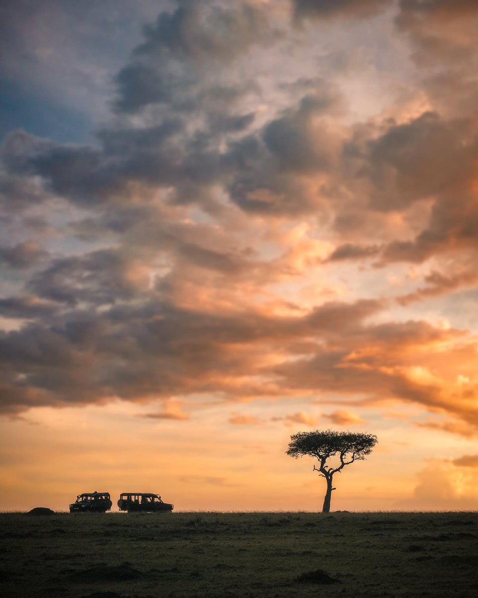 Elewana Collection tweet media