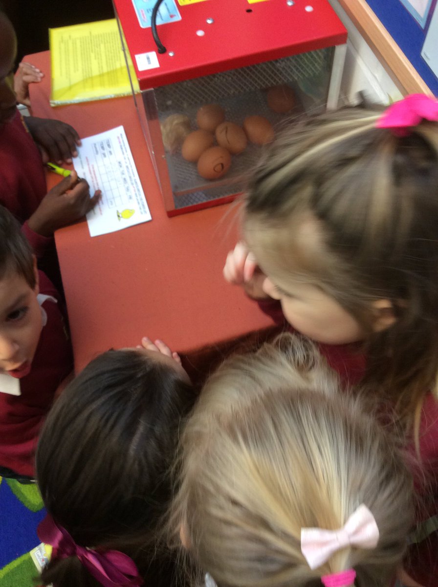 The children have just arrived in Butterworth class and we are so excited to welcome our first chick!!!! The children have decided to name it, “Lovely!” #Chickwatch #fluffyfriends #welovetheEYFS #Livingeggs