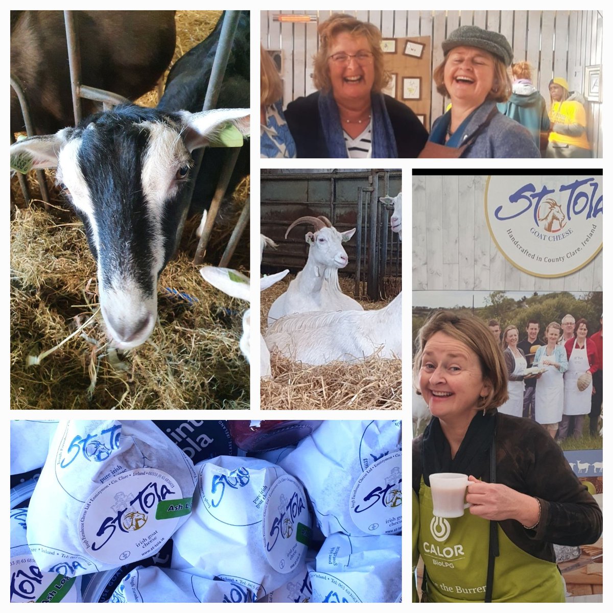 Day 3 meet the local producers. 
Siobhan @StTolaCheese - cheesemaker and great craic! Her goats cheese, made in the Burren,is so good. Looking forward to introducing the guests to Siobhan and the goats in May #foodtours
#Irishfoodproducers