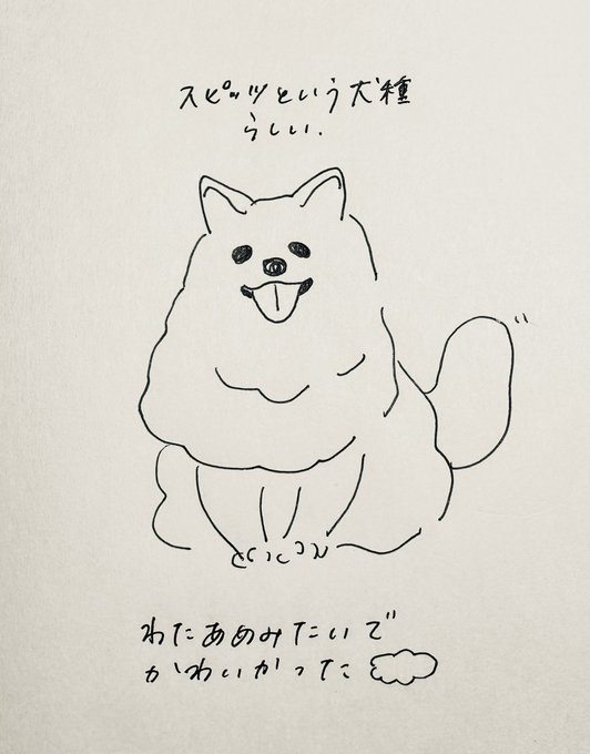 信号待ちしてたら挨拶しにきてくれたわんこ、白くてふわふわでわたあめみたいだった。 