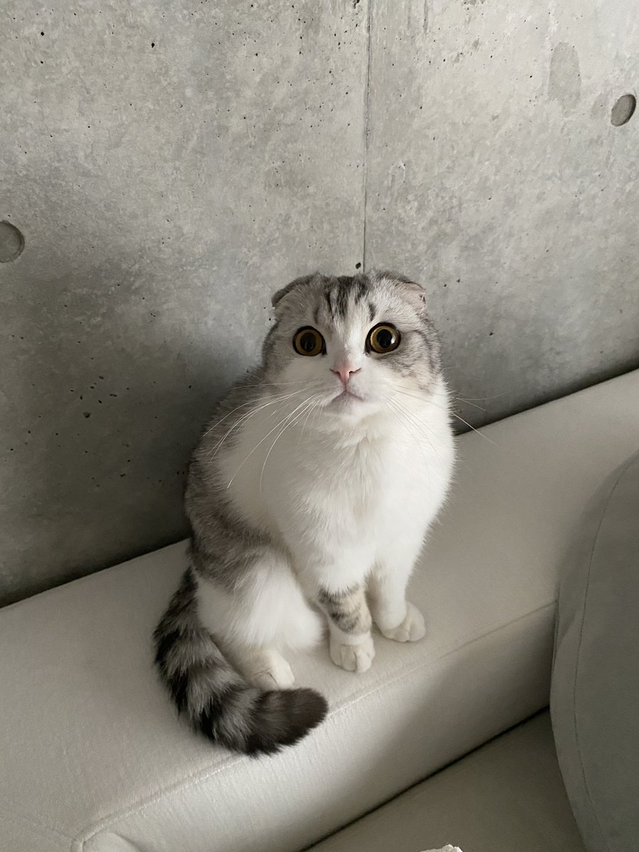 ふわふわ☺️