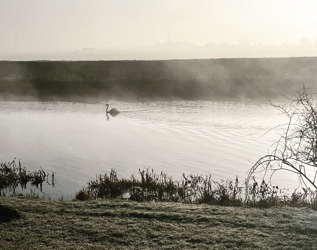 Beautiful morning walking the pooches, with the air crisp and the sun shining I remembered a beautiful poem by Maya Angelou called “still I rise” a good reminder about resilience and hope! 💕