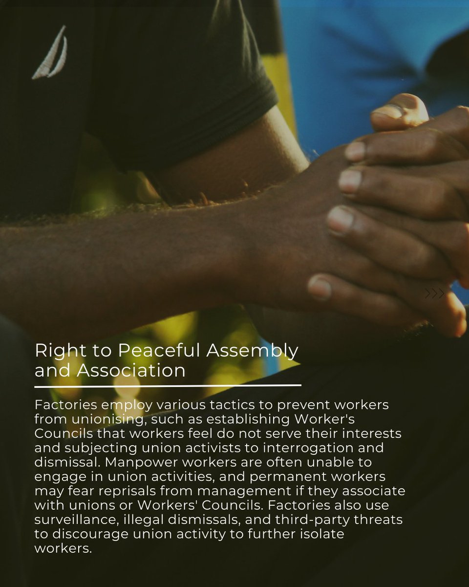 forum_asia's tweet photo. The report provides recommendations to the government, factories, international brands, CSOs and trade unions to improve the working conditions of manpower workers in Sri Lanka's EPZ. 

Read the report now ▶️ https://t.co/epToyKcObv https://t.co/yc9HCIPcBZ