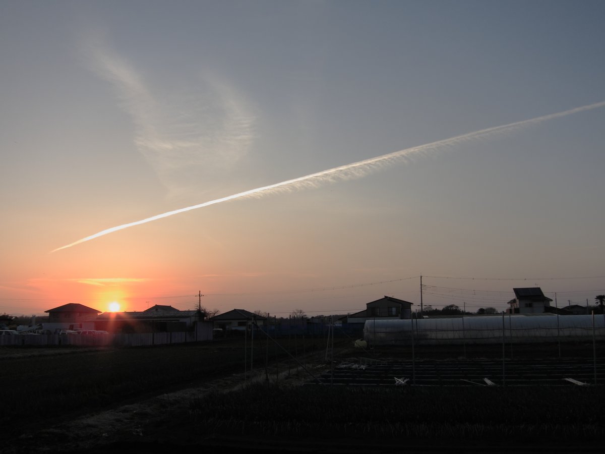 m_takeki's tweet photo. こんばんは、花粉がひどいです。 https://t.co/JdsMfucw5i