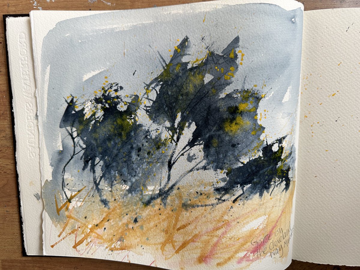 staithesartist's tweet photo. #sketchaday #Gorse #ClevelandWay #watercolour #paynesgrey #SaundersWaterford #deckled #sketchbook https://t.co/I3advLSXio