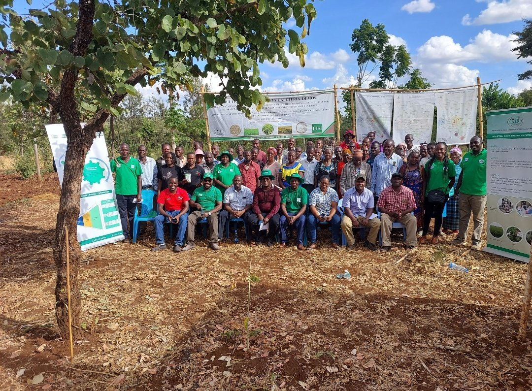 anthonymakona1's tweet photo. Towards @kilimoEAC's efforts in promoting Upland Rice Production in T. Nithi &amp; Embu Counties, yesterday in partnership with the @TNCG_Official, @kalromkulima, @irri, farmers and other stakeholders participated in a field-day cum participatory variety selection (PVS) in T. Nithi. https://t.co/4GywB0siHm