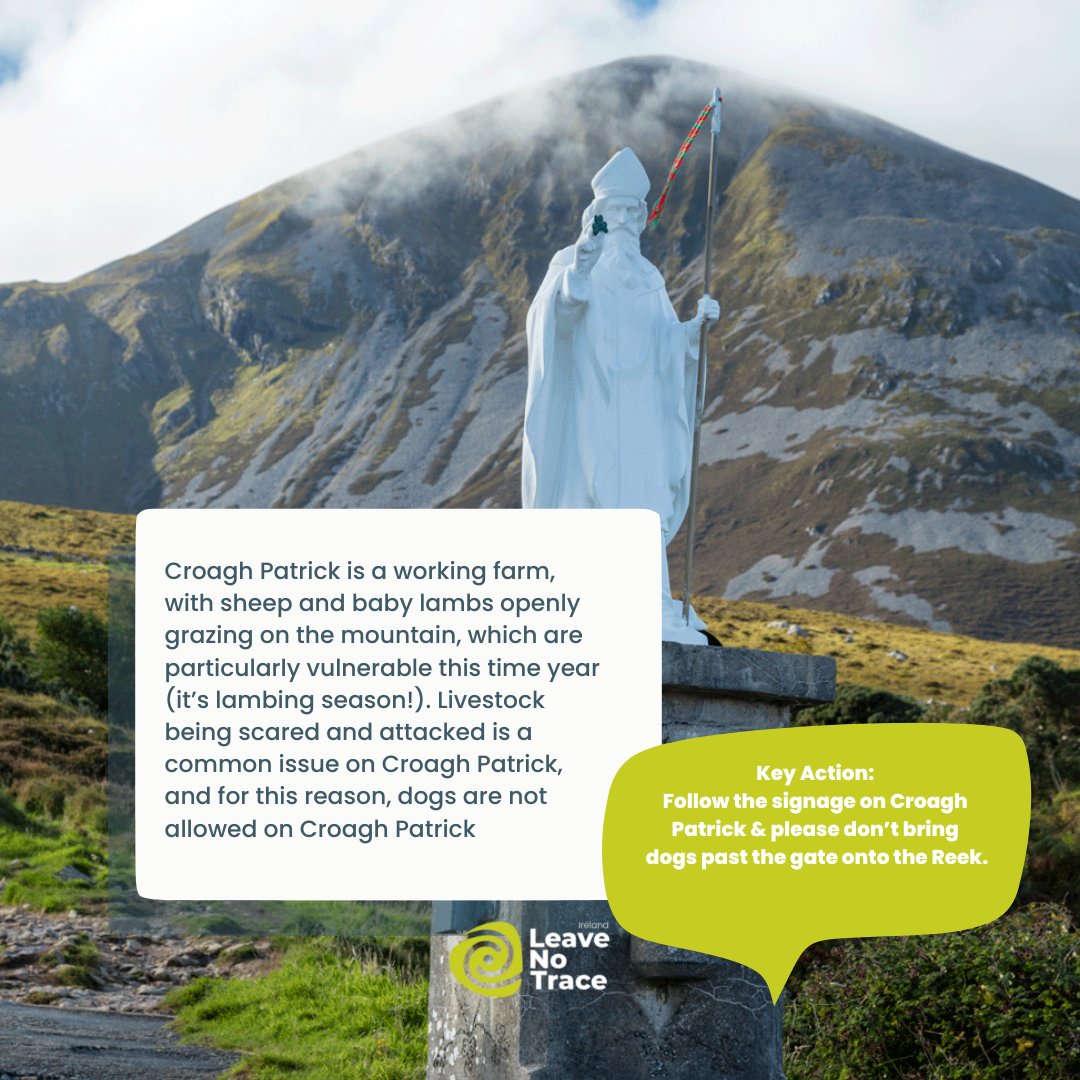 LeaveNoTraceIrl's tweet photo. Climbing Croagh Patrick this St. Patrick’s Weekend? Then we have some top tips for you! ☘️
#CraoghPatrick is 764m tall, with the base of the mountain at sea level, meaning that you climb every one of those meters!
1/2 https://t.co/iZtkFMwfky