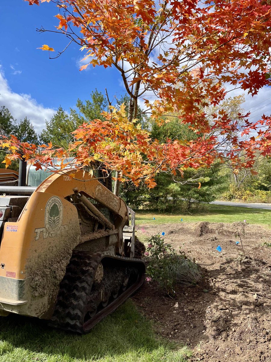 DAAlexanderCo's tweet photo. Beep beep, a new tree is coming through!
🌳📯🏡
#daalexander #tree #newtree #falltime #spring #landscape #landscapeinstallation #landscapedeisgn #equipment #seasons #skidsteer #beepbeep #bluebird #maple #case #livonia #northville #plymouth #novi #southlyon #loveyourlandscape https://t.co/7DILv4SLQU
