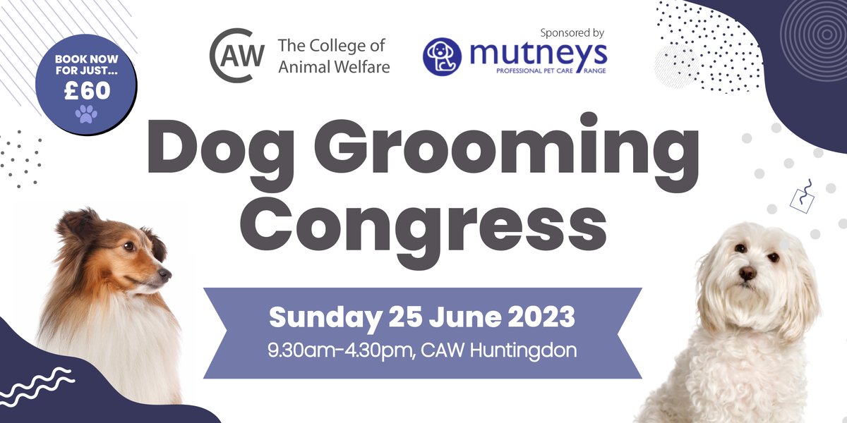CAWInfo's tweet photo. Have you seen the agenda for our upcoming Dog Grooming Congress, sponsored by @Themutneysdog? 🤩 Join us on 25 June at our Huntingdon centre, for a busy day full of exciting demos, Q&amp;As and presentations. 🐾🐶✅ View the agenda and book for just £60 at ➡️ https://t.co/fHLFBGw4Ft https://t.co/buEf7sAgo7