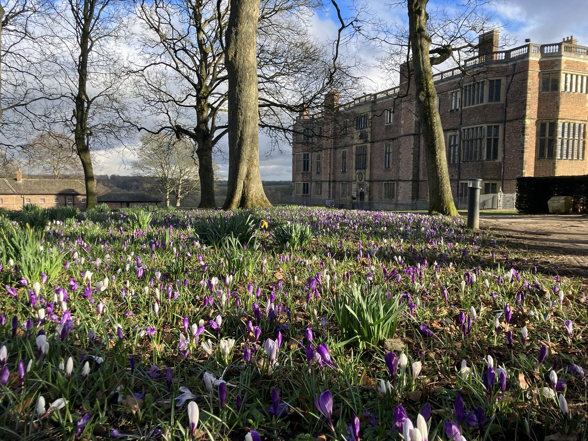 Sarah Murray tweet media