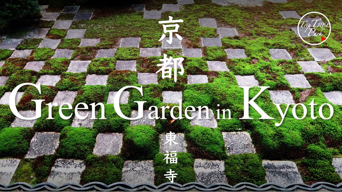 AllForGardening's tweet image. Green Japanese Gardens in Kyoto 4K | #1 | ...
 
#Garden #JapanGuide #JapaneseGarden #JapaneseGardenDesign
 
allforgardening.com/419769/green-j…
