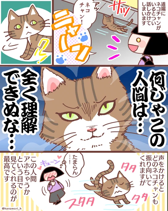 道端にネコチャンがいるとつい話しかけてしまいます
#コミックエッセイ
#漫画が読めるハッシュタグ 