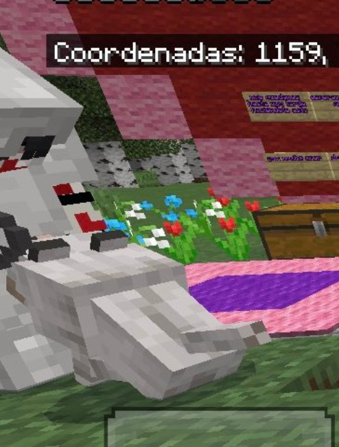 xyrrizc's tweet photo. @Holicnezz Y yo atrás amenazando al perro https://t.co/MeZ3sPqyKt