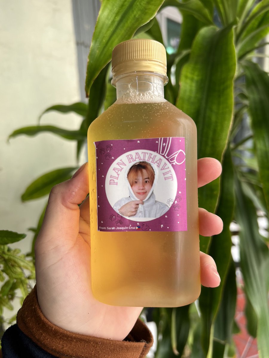 KOREA🇰🇷 PLAN's people💚 on Twitter "RT sarah_1318 My humble support