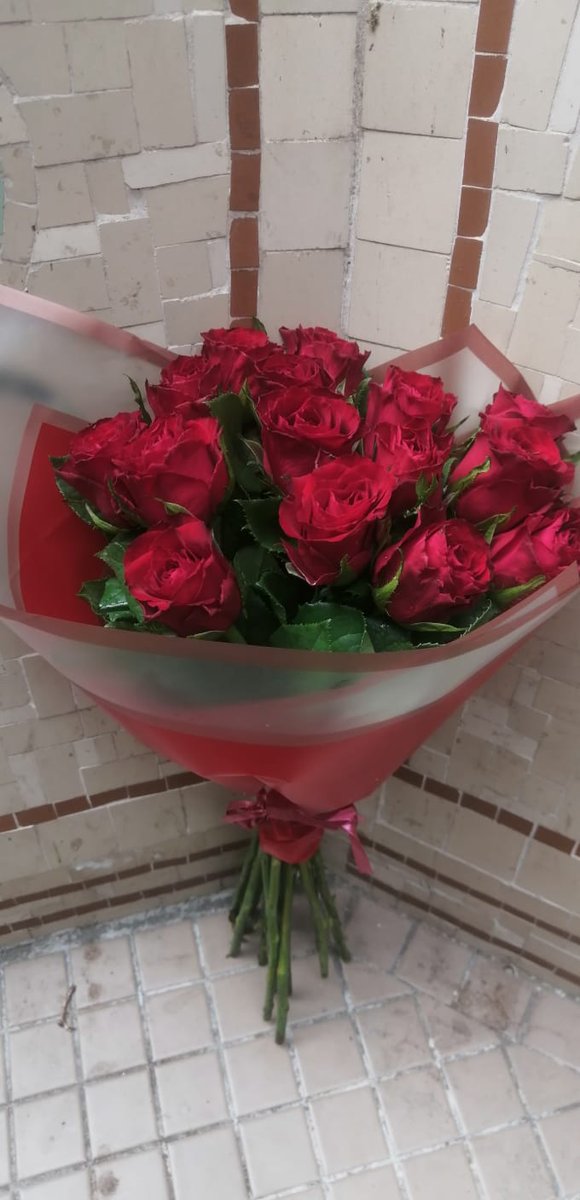 FlowerS1sters's tweet photo. When last have you sent your Wife or Girlfriend flowers
💐🌹💋❤️😍😘.
Spread your love everyday not only on special ocassions.
Whatsapp Alison 0825465779 to place your order. We also deliver.

#love #partner #girlfriend #wife #flowers #floralgift #deliverycapetown #tweet https://t.co/3Z8axFSiXI