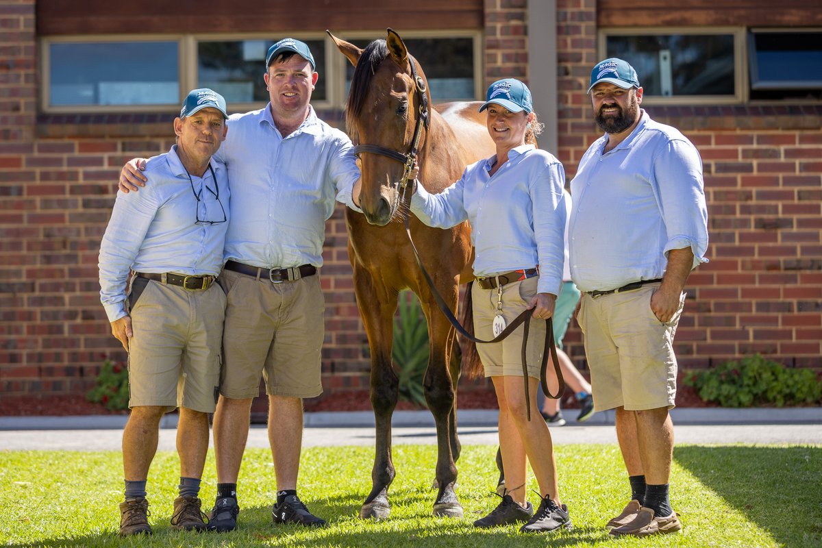 Goodwood_Farm's tweet photo. Andrew Campbell Bloodstock secures a bargain, going to $18,000 @mmsnippets Adelaide yearling sale to purchase Lot 314, our Flying Artie x Second Date colt. https://t.co/nOKa2cLx3C