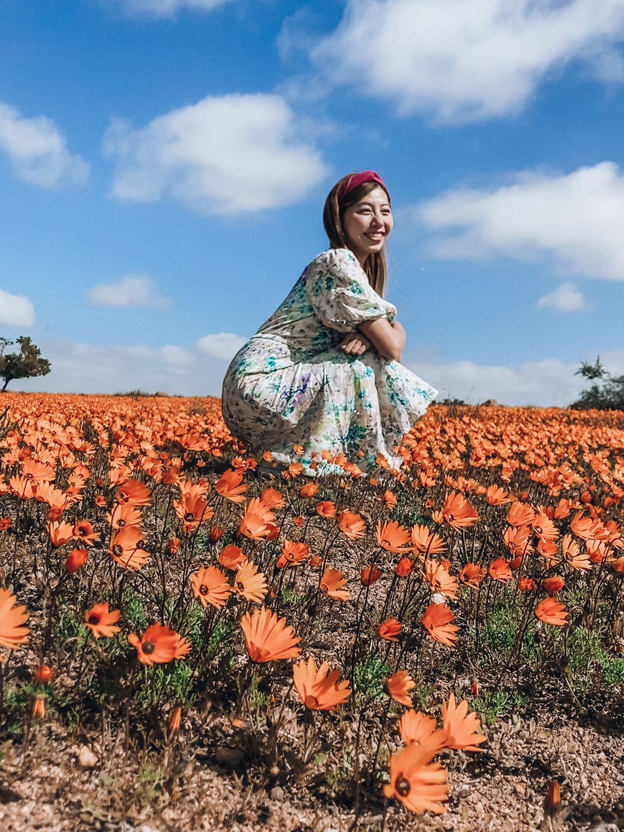 rina_delrey's tweet photo. 忘れられない一面オレンジのワイルドフラワーの絶景🧡
8月から9月の数週間だけ見れる貴重な景色なので是非その時期に南アフリカへ✈️✨
#namaqualand  #南アフリカ  #海外生活 #visitsouthafrica #liveagain https://t.co/Qzgxr6ClT2