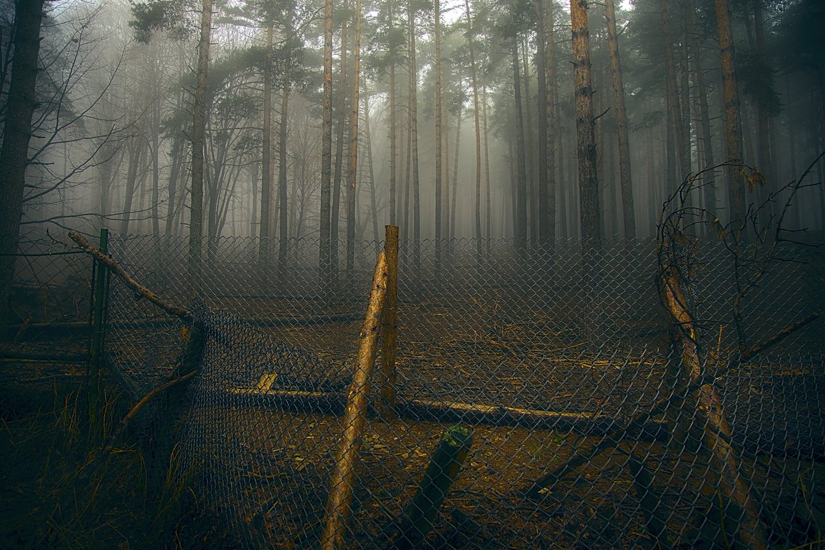 #blooddrainerphotography #photography #bulgaria #photooftheday #nature #forest #dark #mountain #trees #myst #mystery #fog #mystic

photography.blooddrainer.net
patreon.com/antonatanasov
instagram.com/blooddrainera/
flickr.com/photos/blooddr…
x.com/blooddrainera
facebook.com/blooddrainerph…