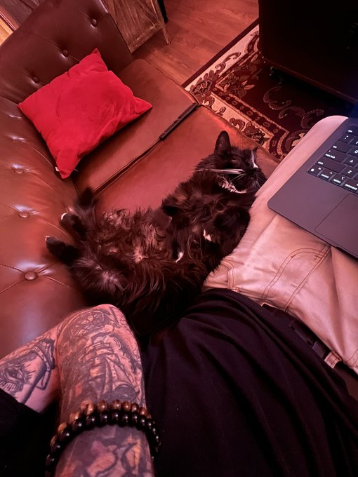 Proof of Floof https://t.co/f7iC8Mi4f5<a href="/tag/scream6"class="tags"><span>#scream6</span></a>