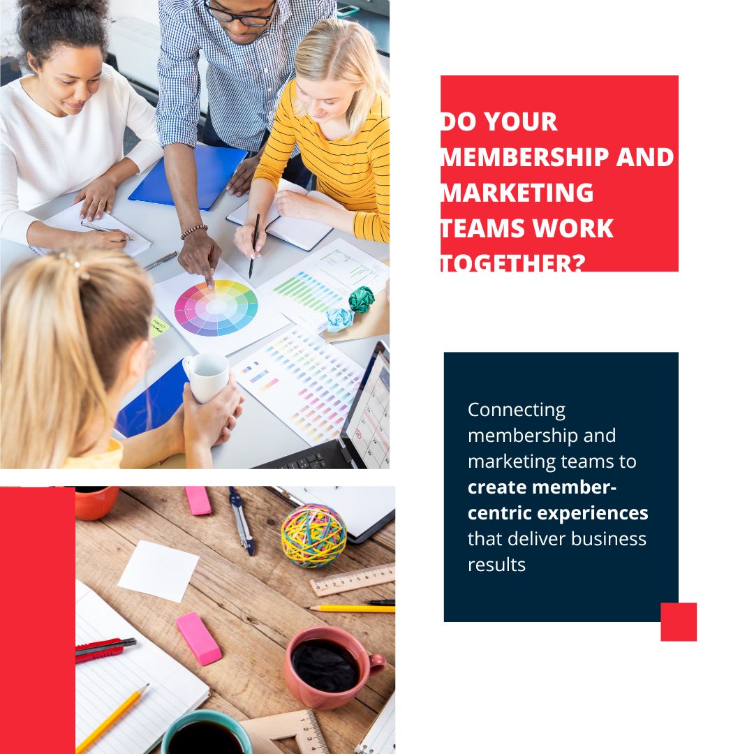 Do your Membership and Marketing Teams work together? Connecting membership and marketing teams to create member-centric experiences that deliver business results. Read more: bit.ly/3Fkz9sP #assnchat #membershipmarketing  #assnprofs #associationprofessionals #membership