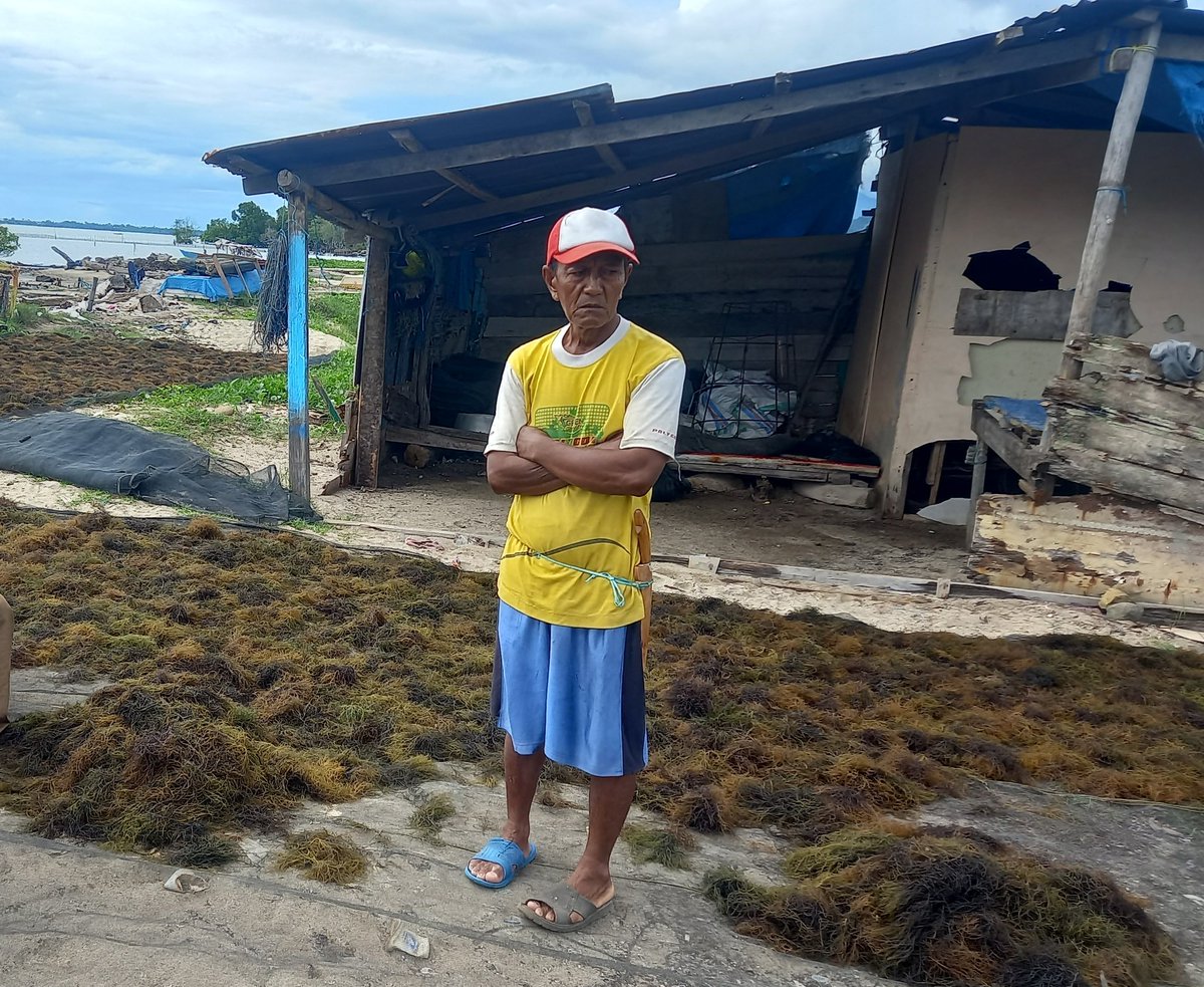 IkraRYasmin's tweet photo. Selasa 14/3 ,Ikra, Luhkan Kota Palopo, di Kel. To bulung Kec. Bara, mlporkan produksi RL. Gracilaria ang. klp mekar sari sbnyk 2 ton dng hrga Jual per kilo Rp. 7000 #luhlapor #GiatLuhkanSatminkalMaros #kotapalopo #Tangkap @brsdm_kp @puslatluhkp @BRPBAP3_Maros https://t.co/rUA13moErS