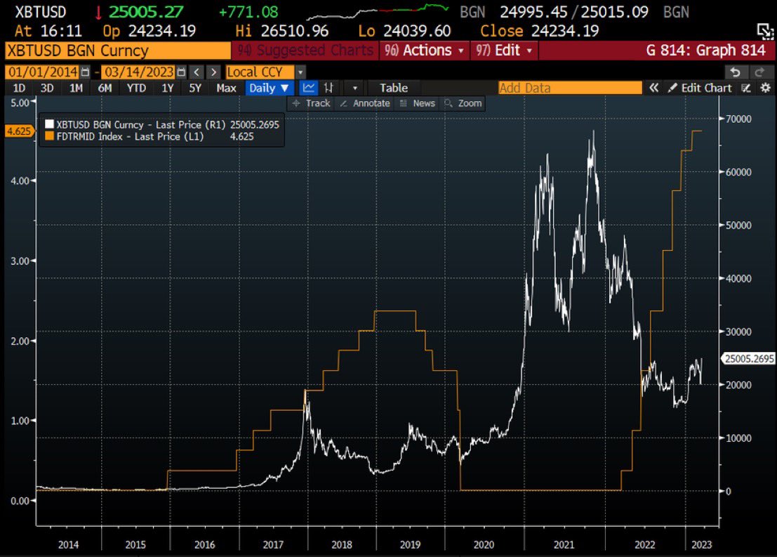 Hammer 🔨🐸 tweet media