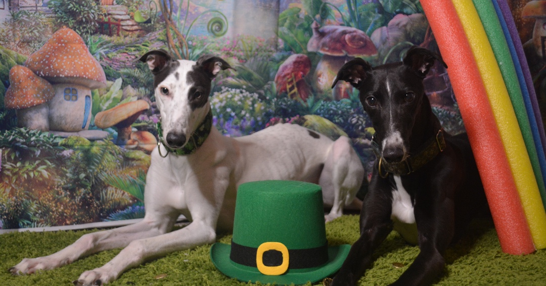 Lucky Charms

talesandtails.com/wordless-wedne…