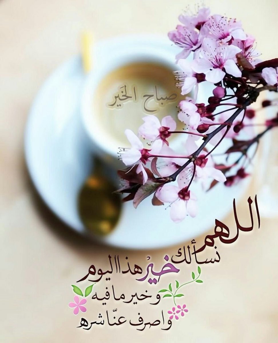 🌹
#صــــباح_الخيــــر

للذيــــن يزرعــــون ورداً 
فــــي قلوبنــــا
بدعواتهــــم الطيبــــة ..💚