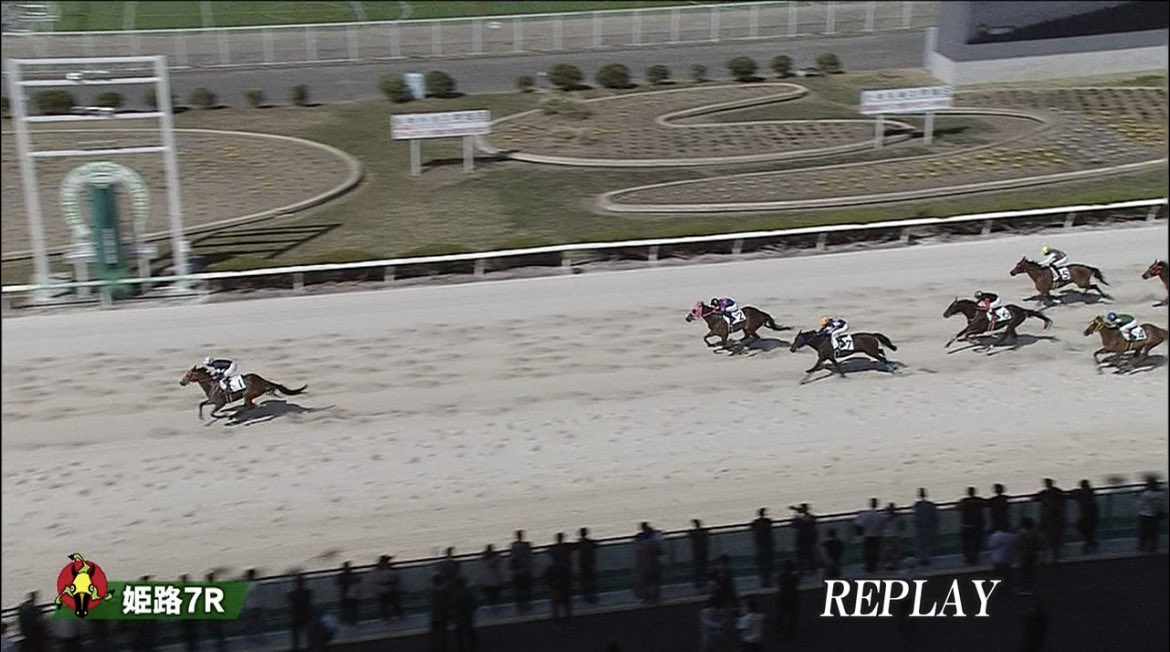 姫路11r

◎イナズマテーラー　　（2.1倍）  🥈
△クリノイコライザー　（19.7倍）🥇
▲トリニティノット　　（8.8倍）  🥉

的中ラッシュ🚀🚀

馬連22.3倍、馬単76.4倍🔥
3連複39.7倍、3連単401.1倍万馬券🔥

 note購入し的中された方おめでとうございます🎊…  