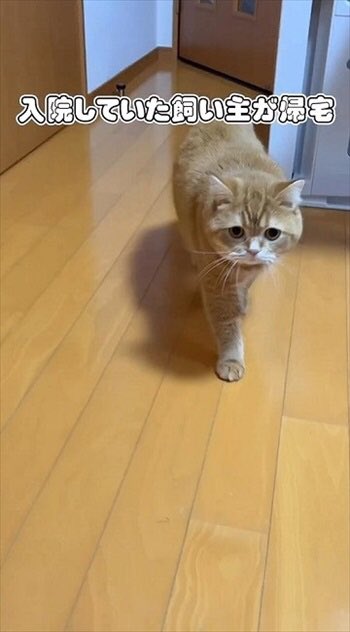secl_wa's tweet image. #疲れてる方はこれをみて
#癒されてください