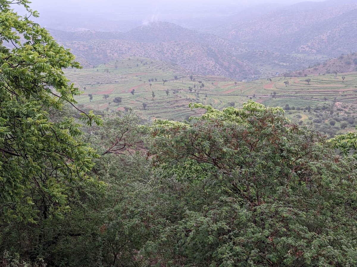 kiflaymaebel1's tweet photo. ሓደርኪ  ኤርትራ  ሃገርና  |🇪🇷
ምድራዊት  ገነት  ኣፍሪቃዊት  ሃገር::
https://t.co/N5v3tpixqE https://t.co/q6ZR34Q2pe
