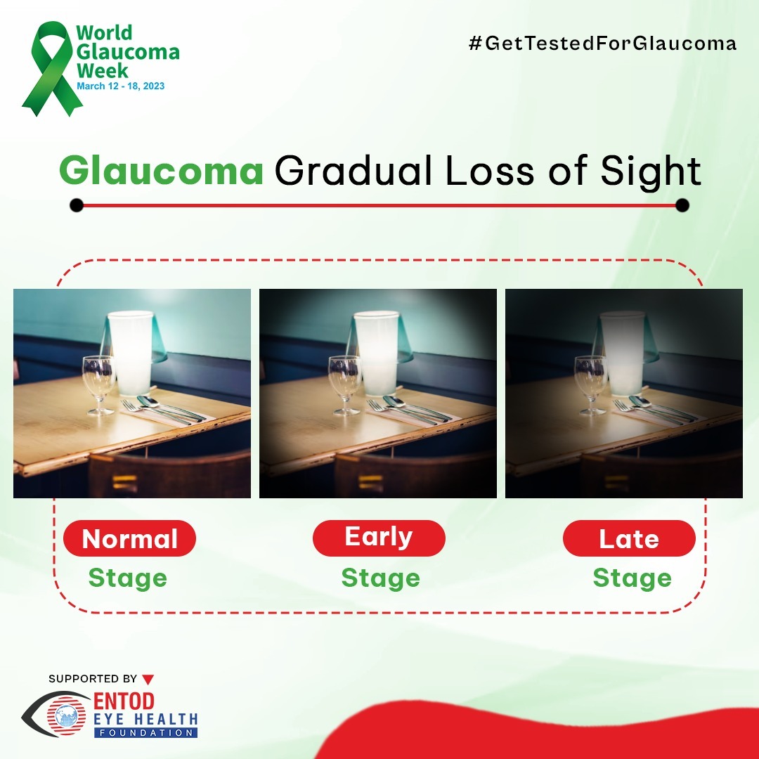 EntodPharma's tweet photo. #Glaucoma, a chronic disease that damages your eyes' optic nerves. As this nerve starts deteriorating, gradually blind spots appear in your vision.
Therefore, timely detection can prevent you from getting blind forever.

#WorldGlaucomaWeek #glaucomaweek #GetTestedForGlaucoma https://t.co/SbNCK8304q