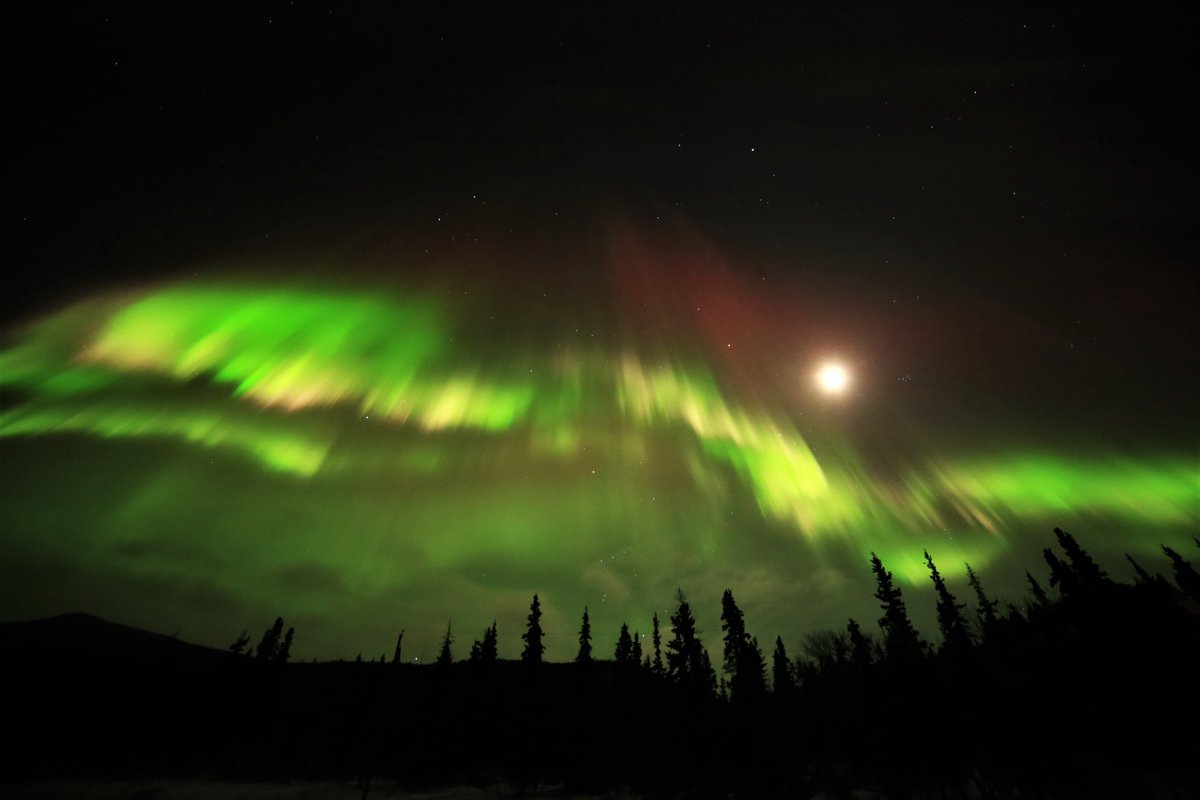 digitgiyaa's tweet photo. Marzo es el mes de la Aurora ! 🥳 Que viva el #Yukon ! https://t.co/6YKiPpb6zQ