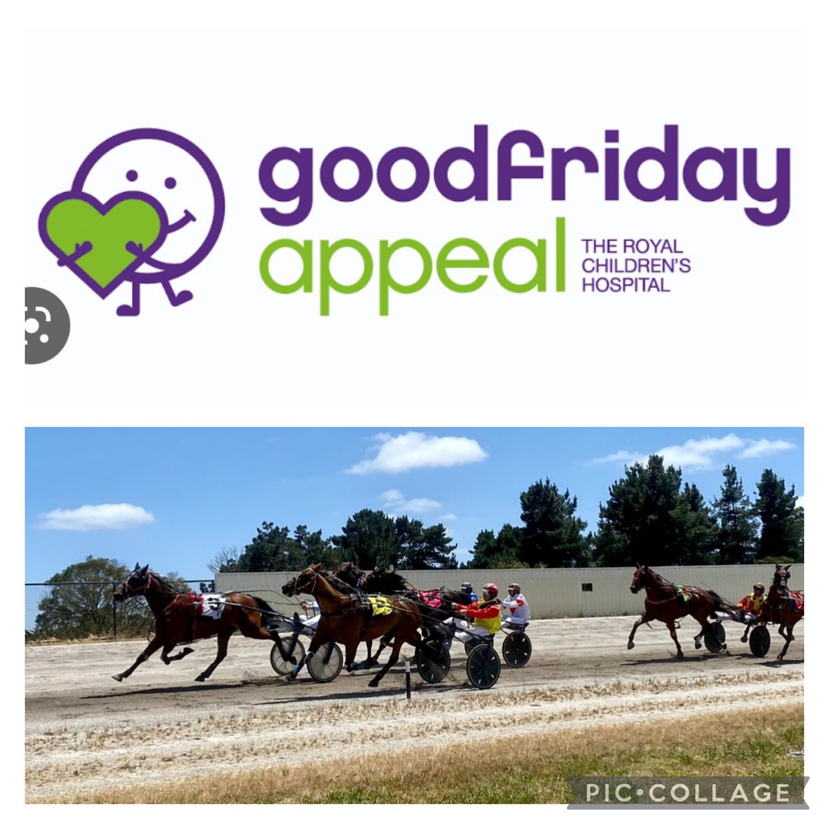 We are racing this Monday 20th March!  Proudly supporting the Royal Children’s Hospital Good Friday Appeal with all money raised going to the appeal! Entry for this meeting is a donation!