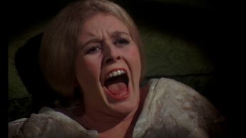 Film Pervert tweet media