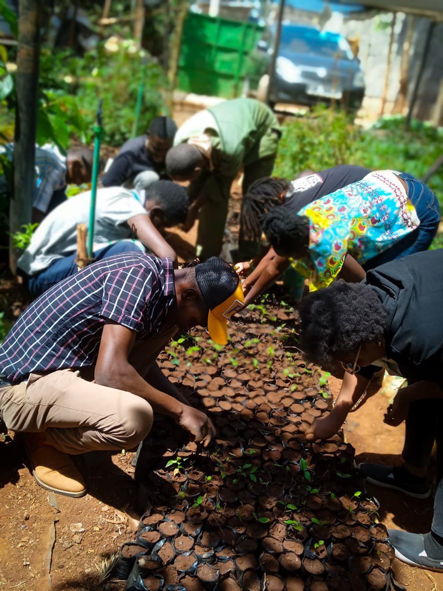 LamechLamarch25's tweet photo. Setting up a tree Nursery. 

A nursery increases survival chances of seedlings because they can be taken care of &amp; nurtured until mature enough to be moved to the field.

Greening Kenya, a tree at a Time

Re-imagine. Recreate. Restore!!!

#GenerationRestoration https://t.co/889RoNkhMa