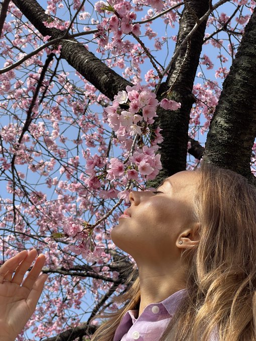 Enjoying my trip to Japan 🇯🇵 https://t.co/jamUAghD8s<a href="/tag/art"class="tags"><span>#art</span></a><a href="/tag/artnude"class="tags"><span>#artnude</span></a><a href="/tag/katyaclover"class="tags"><span>#katyaclover</span></a>