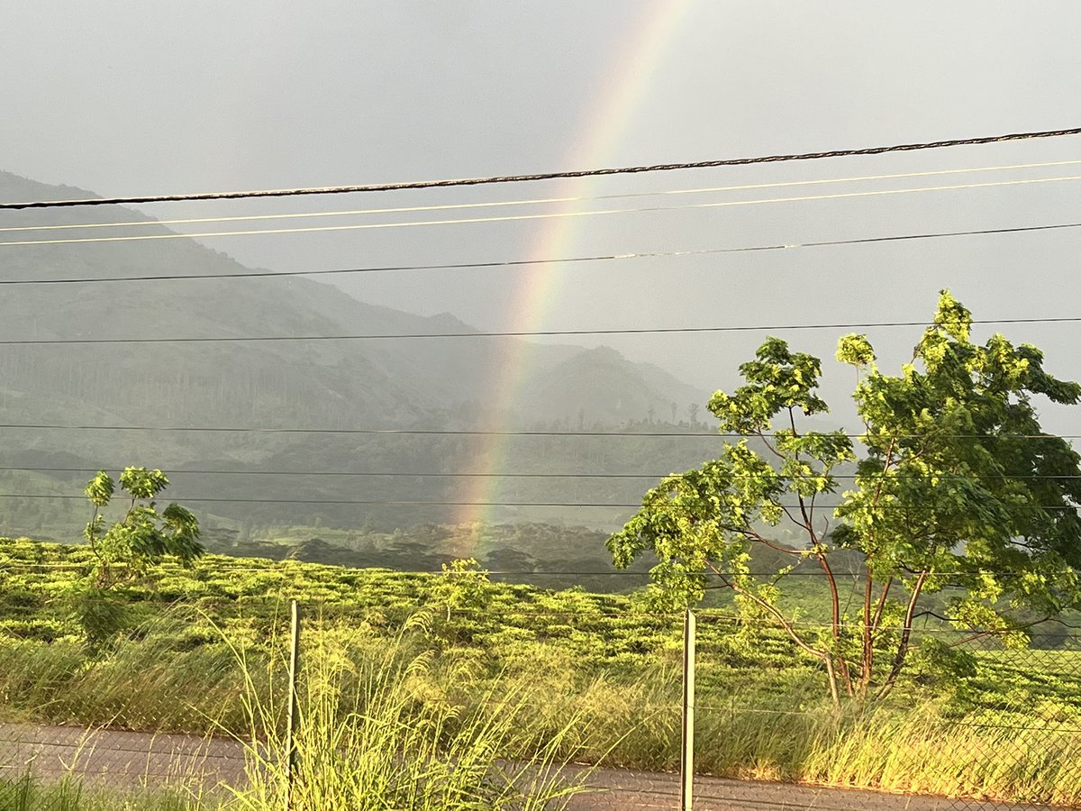 #nature &amp; #travel 🍀🌍